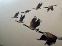 Photo de cet établissement dans la galerie