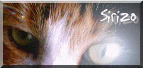 Cliquez ici pour tlcharger cette image sur votre mobile!